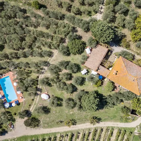 La Foresta-2 By Interhome * Quercegrossa